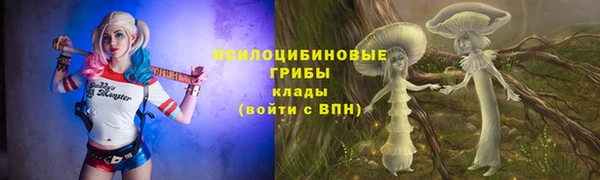 сатива Баксан