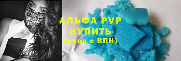 сатива Баксан