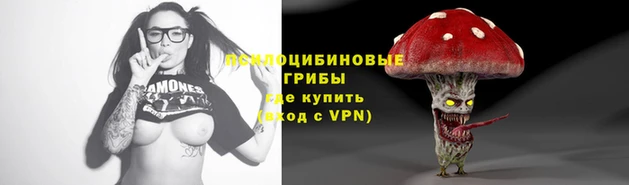 сатива Баксан