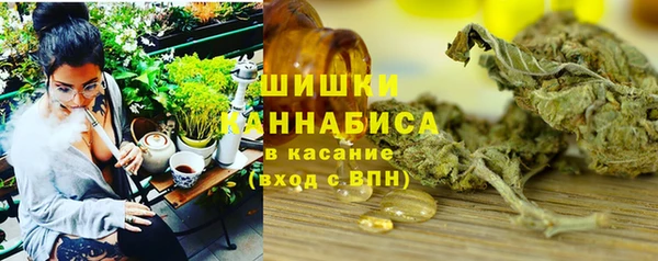сатива Баксан