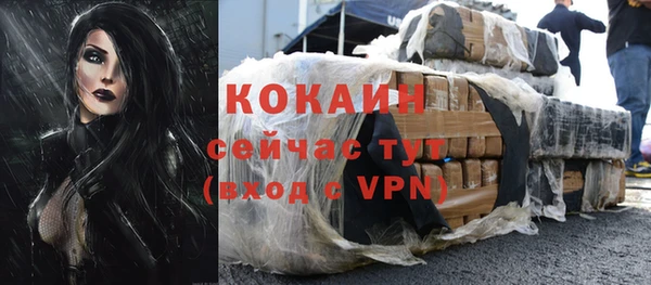 сатива Баксан